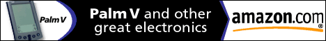 am_palmbanner.gif (10009 bytes)